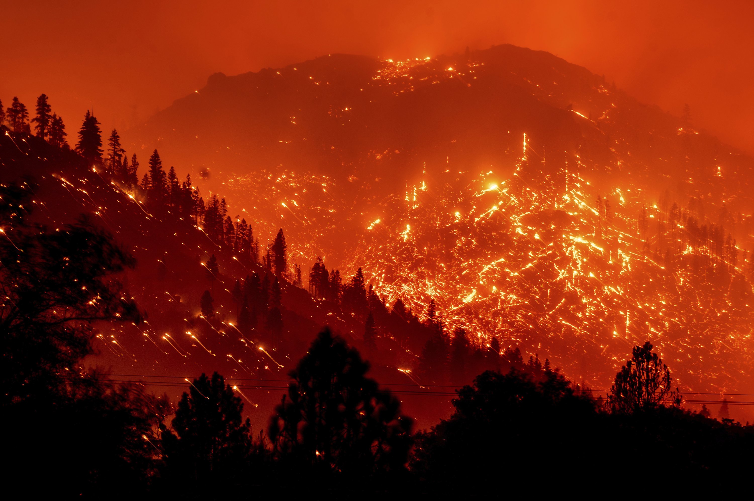 Wildfire
