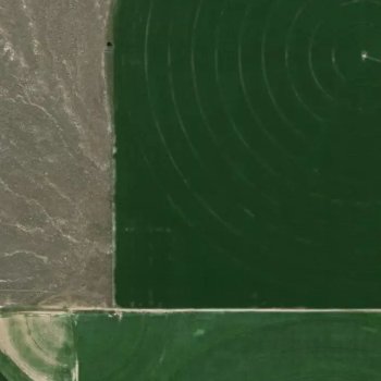 wildfire image